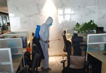 澄邁縣城建成區鞏固國家衛生縣城病媒生物防制工作匯報